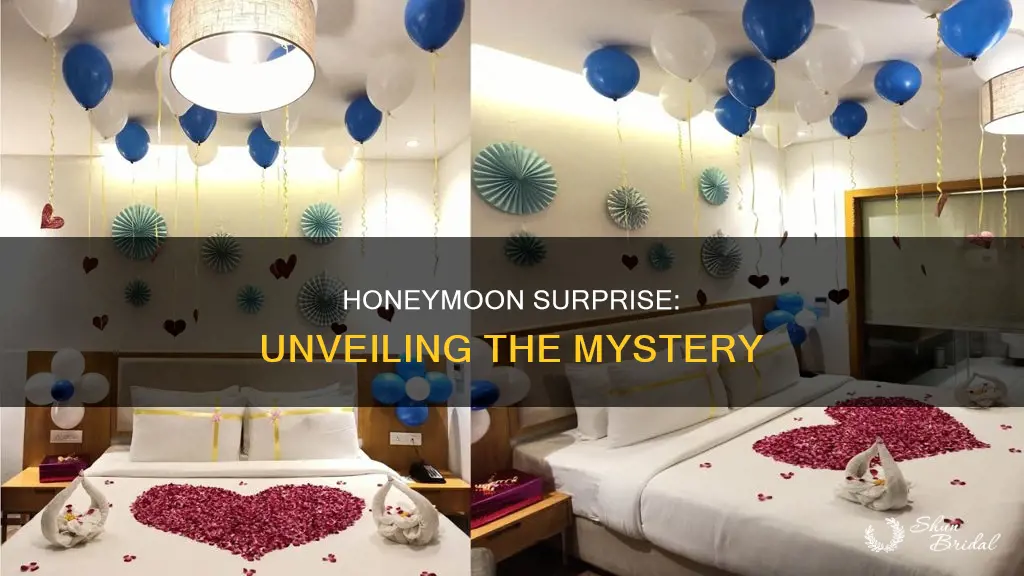 is the honeymoon supposed to be a surprise