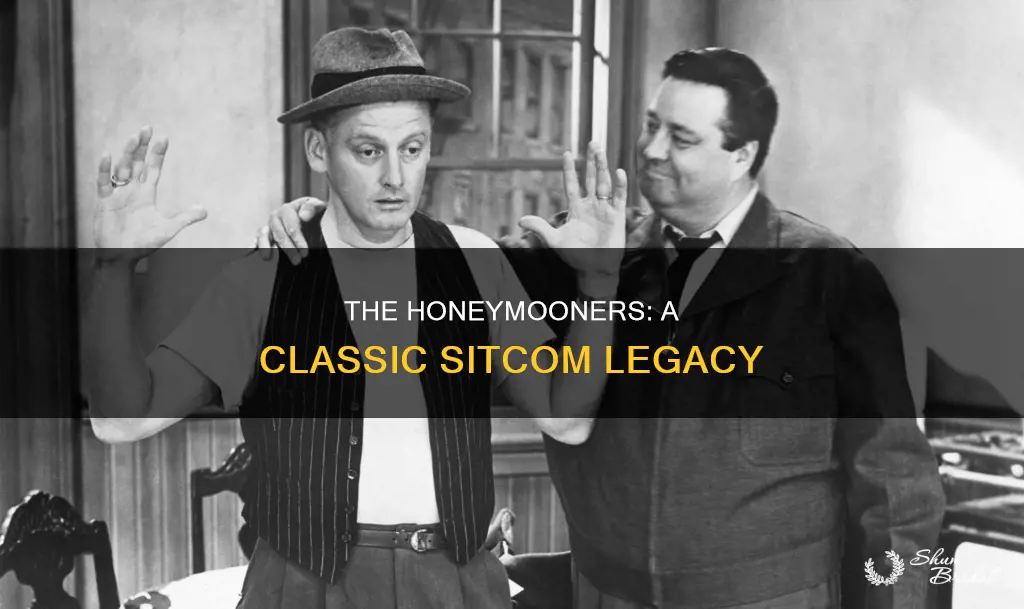 is the honeymooners a sitcom