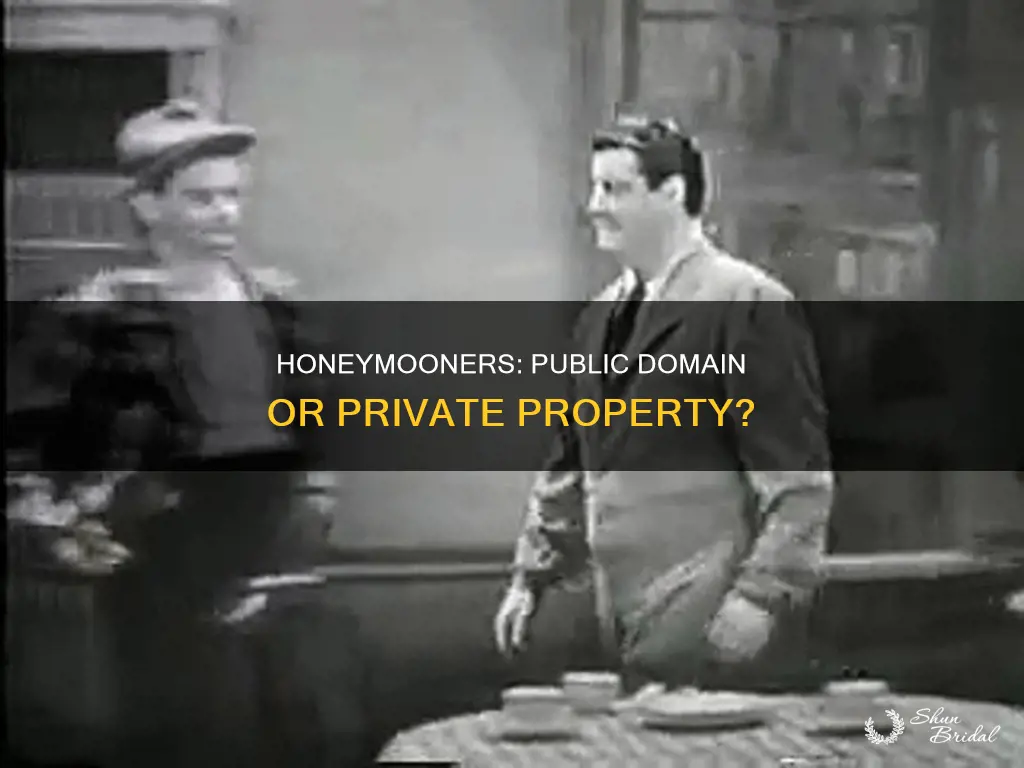 is the honeymooners public domain