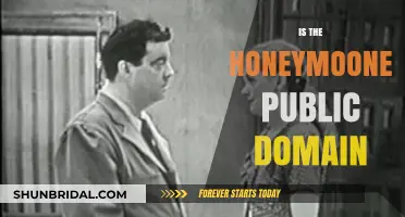 Is 'The Honeymooners' Public Domain? Exploring Ownership and Rights