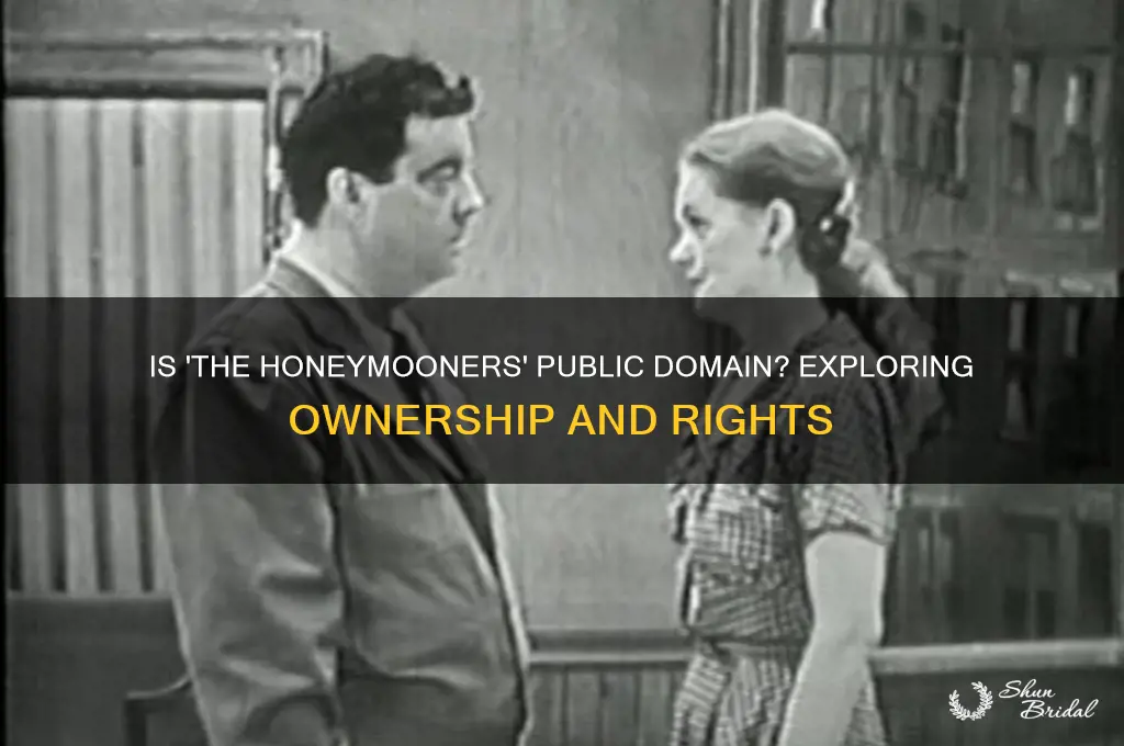 is the honeymooners public domain