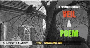 Is 'The Minister's Black Veil' a Poem or Prose?