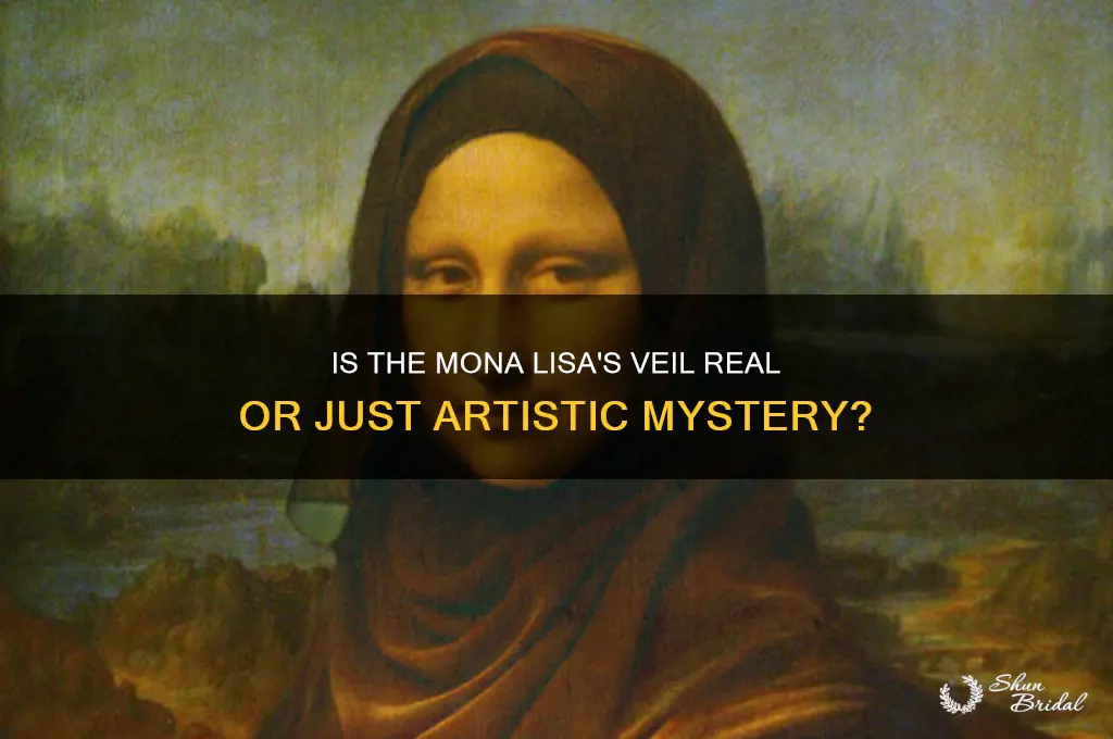 is the mona lisa wearing a veil