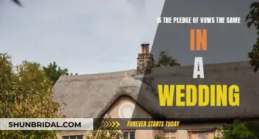 Vows and the Pledge: A Wedding Promise