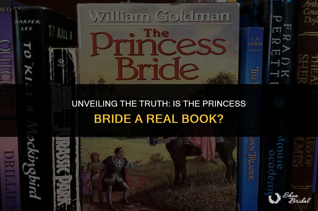 is the princess bride a real book
