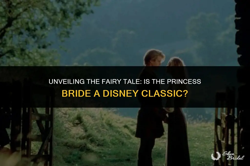 is the princess bride disney