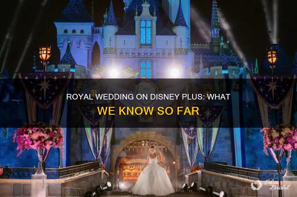 is the royal wedding going to be on disney plus