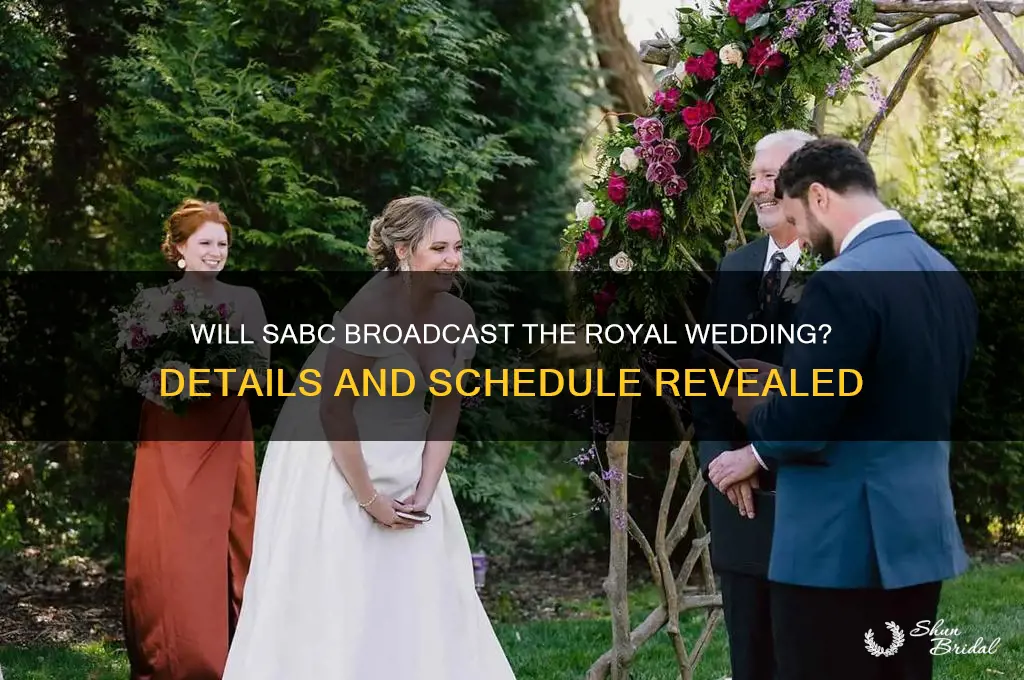 is the royal wedding going to be televised on sabc