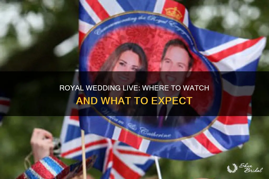 is the royal wedding live