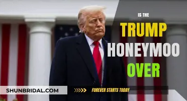 Is Trump's Political Honeymoon Fading? Analyzing Shifting Public Sentiment