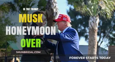 Trump-Musk Alliance: Is the Political-Tech Honeymoon Fading Fast?
