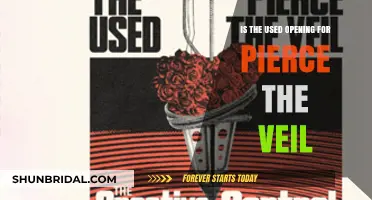 Is 'The Used' Opening for Pierce the Veil? Unraveling the Tour Buzz