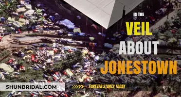 Unveiling Jonestown: The Veil of Tragedy and Truth Revealed