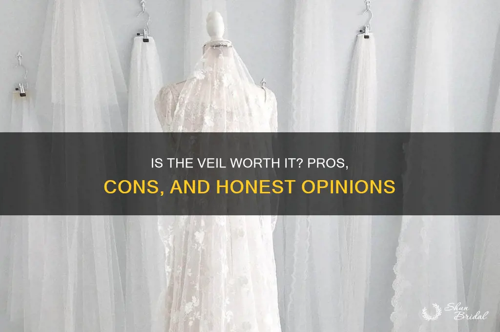 is the veil any good