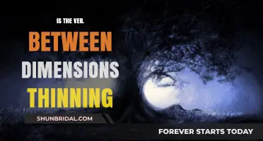 Is the Veil Between Dimensions Thinning? Exploring the Shifting Boundaries of Reality