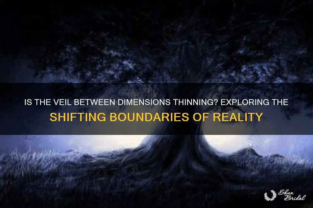 is the veil between dimensions thinning