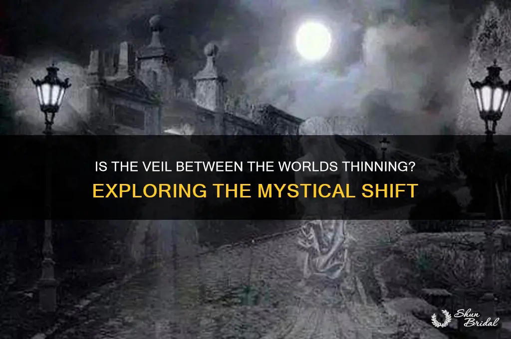 is the veil between the worlds thinning