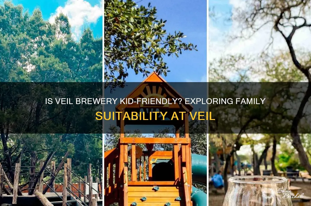 is the veil brewery suitable for children