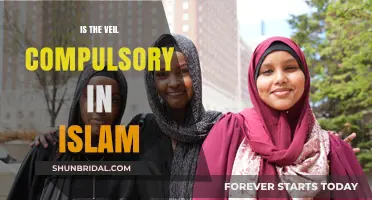 Is the Veil Compulsory in Islam? Exploring Religious and Cultural Perspectives