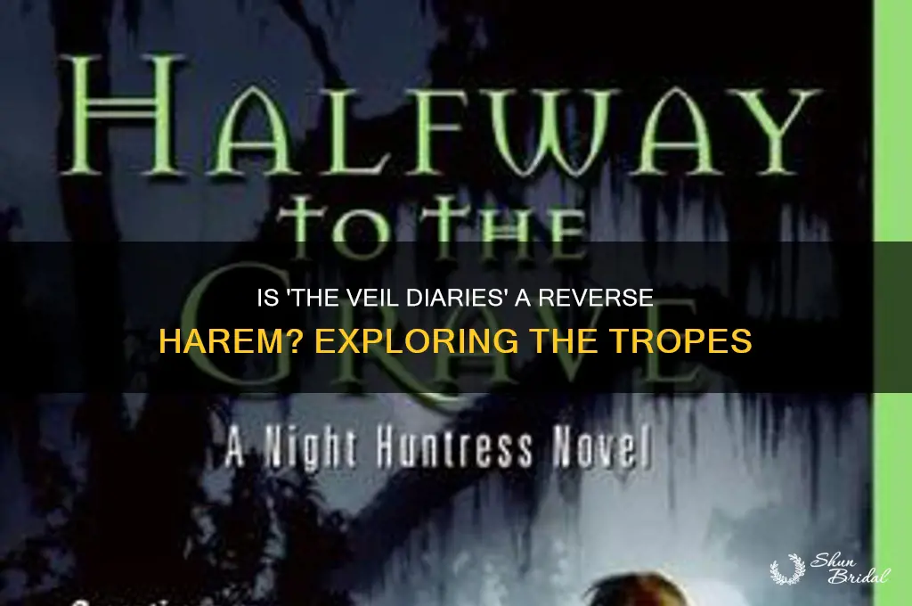 is the veil diaries a reverse harem