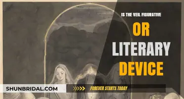 Unveiling the Veil: Figurative or Literary Device in Context