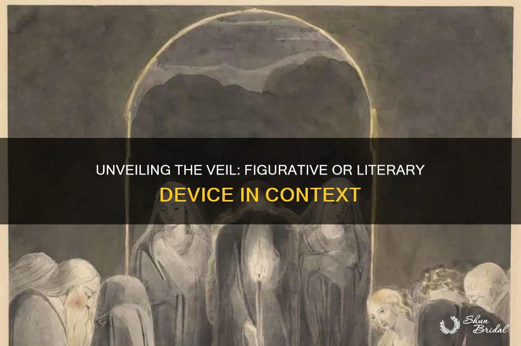 is the veil figurative or literary device