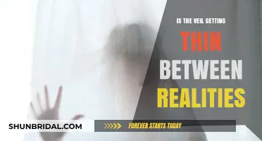 The Veil Between Realities: Is It Thinning?