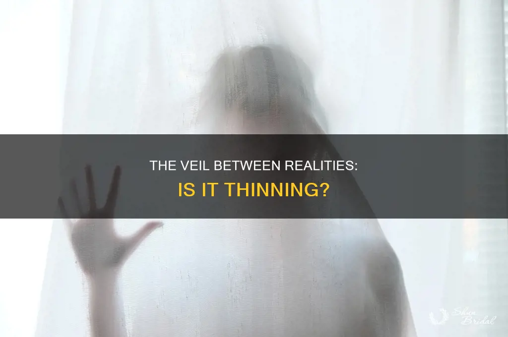 is the veil getting thin between realities