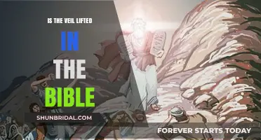 Is the Veil Lifted in the Bible? Unveiling Scriptural Insights