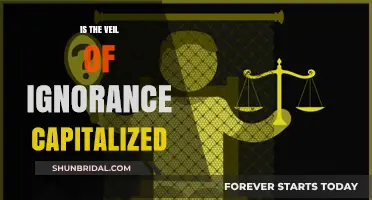 Is the Veil of Ignorance Capitalized? A Philosophical Inquiry