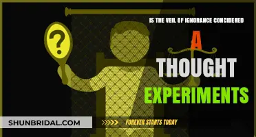 Exploring the Veil of Ignorance: A Thought Experiment Analysis