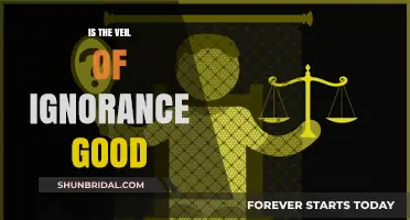The Veil of Ignorance: Fairness or Flawed Ideal?