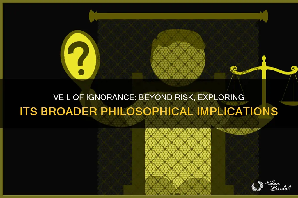 is the veil of ignorance only a concept about risk