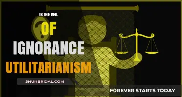 Veil of Ignorance: A Utilitarian Approach to Fairness?