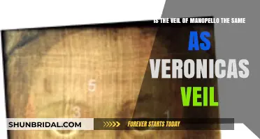 Veil of Manoppello vs. Veronica's Veil: Unraveling the Sacred Mystery