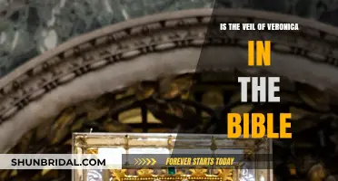 Is the Veil of Veronica Biblical? Exploring Its Origins and Significance