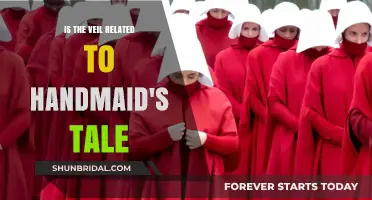 The Veil and Handmaid's Tale: Unveiling Oppression's Parallels