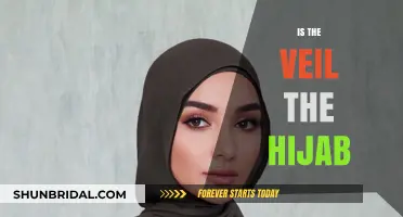 Understanding the Veil vs. Hijab: Key Differences Explained
