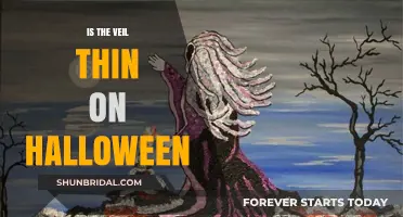 Is the Veil Between Worlds Thinnest on Halloween Night?