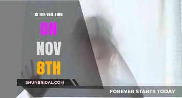 Is the Veil Thin on November 8th? Exploring the Mystery