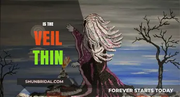 Is the Veil Thin? Exploring the Mystical Boundaries Between Worlds