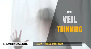 Is the Veil Thinning? Exploring the Shift Between Worlds and Realities
