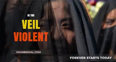 Is the Veil Violent? Unveiling Misconceptions and Cultural Realities
