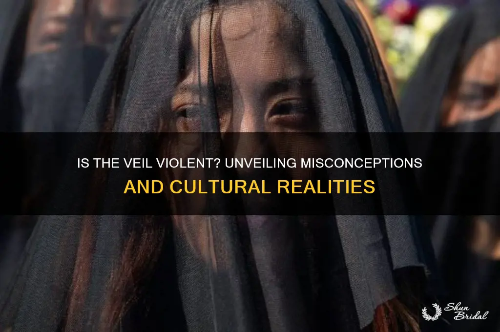 is the veil violent