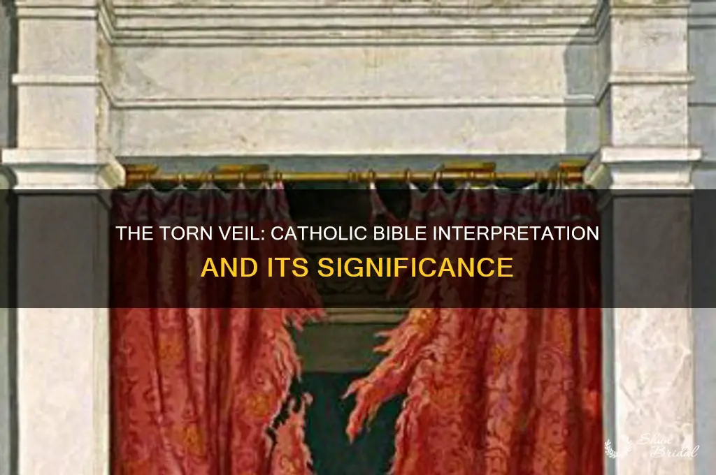 is the veil was torn in the catholic bible