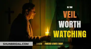 Is the Veil Worth Watching? A Critical Review and Analysis