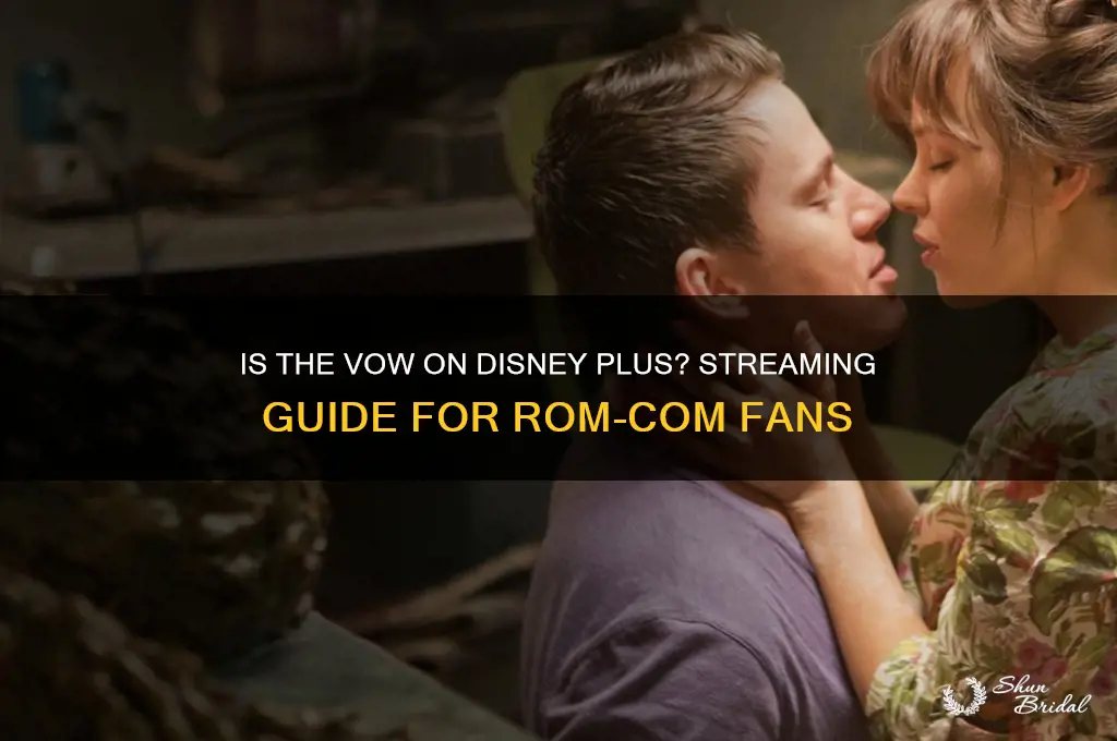 is the vow on disney plus