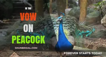 Is The Vow on Peacock? Streaming Guide for Rom-Com Fans