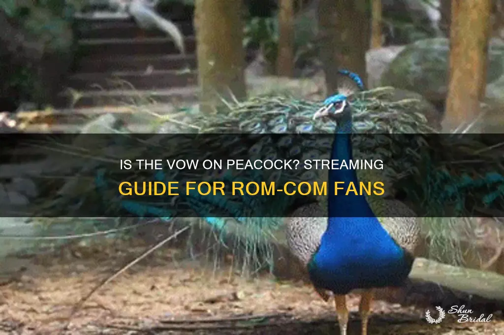 is the vow on peacock