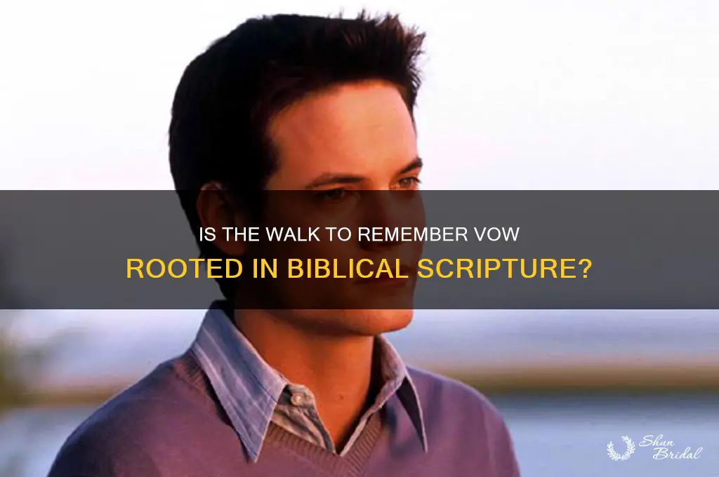 is the walk to remember vow from the bible